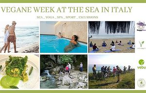 VEGAN WEEK- From 20.05.23 to 10.06.23 
-Yoga
-Meditation
-Meeting with specialists
-Vegan Food
-Excursions 
-E-bike tour
and more... 
Our week-plan on the following post !  at Zenit Spa Hotel in Giulianova