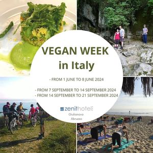 Look forward to a VEGAN WEEK in Italy!

Write us an email, discover the complete program and request a quote!

#vegan #healthyfood #yoga #holiday #summer2024 at Zenit Spa Hotel in Giulianova