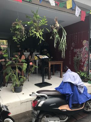 View from the street at Vegan Bali in Kuta