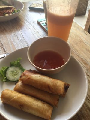 Spring rolls  at Vegan Bali in Kuta