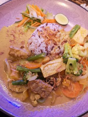 Veeeery tasty rice and curry at Vegan Bali in Kuta