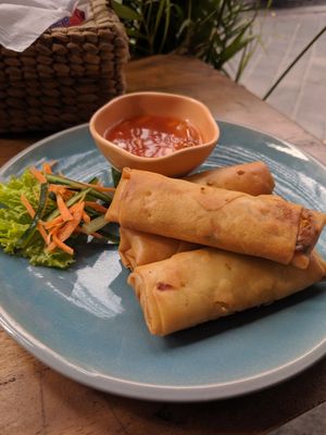 Spring rolls at Vegan Bali in Kuta