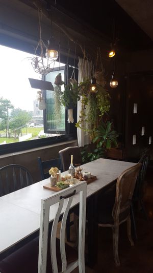 Pretty Decor. I loved all the plants. at Cafe Jeju 901 in Jeju