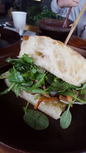 Mushroom sandwich at Cafe Jeju 901 in Jeju