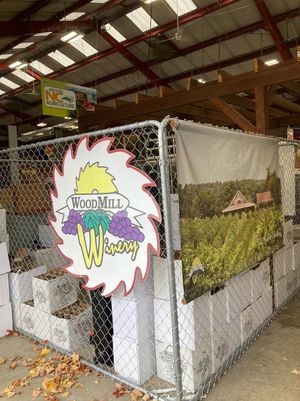 Wine vendor  at WNC Farmers' Market in Asheville