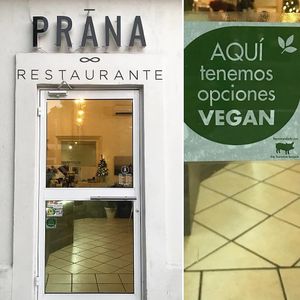 Vegan friendly restaurant recommended by The Humane League.  at Prana Restaurante in La Paz