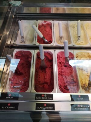 Vegan sorbets at Black Peak Gelato in Wanaka
