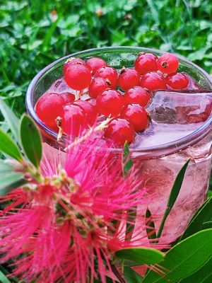 Analcolico, ibisco lychee at OH Ficomaeco in Brescia