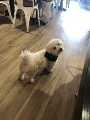 Little Buddha!  at Happy Friday Kitchen  in Oxford