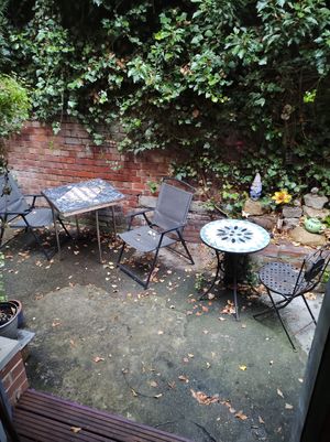 The secret garden at Bean Social in Durham