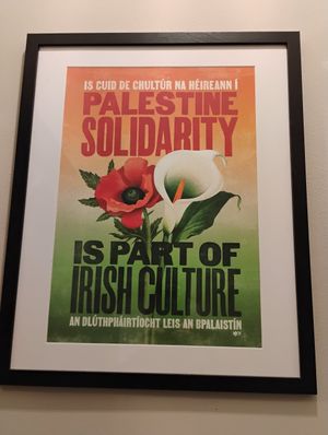 Saoirse don Phalaistín! at My Goodness in Cork