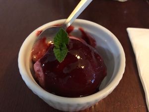Plum sorbet at Poppies Cafe in Twizel