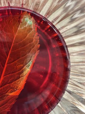 Bissap  at Aujourd'hui Demain Cafe in Paris