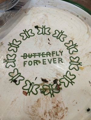  at Aujourd'hui Demain Cafe in Paris