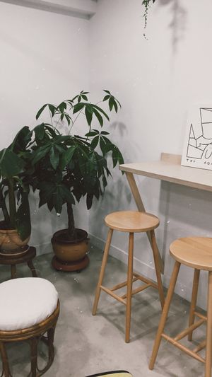 Cosy spot at Aujourd'hui Demain Cafe in Paris