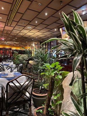 Inside at Blue Elephant in St Julians