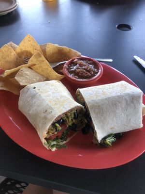   at The Tiny Turtle in Cocoa Beach