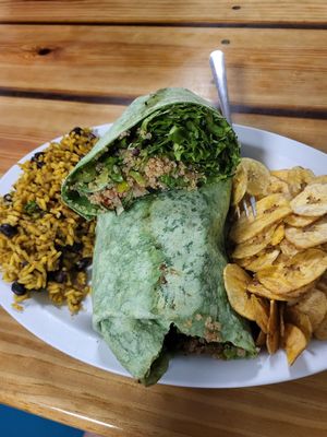  at The Tiny Turtle in Cocoa Beach