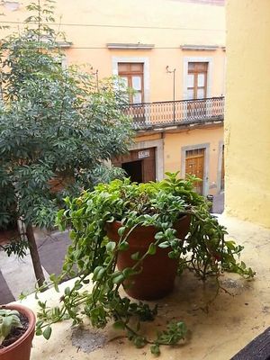 Lovely plants and view at Aguamiel Cafe  in Guanajuato