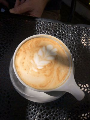   at Fox & Fig in Savannah