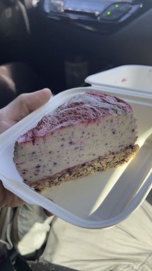   at Fox & Fig in Savannah