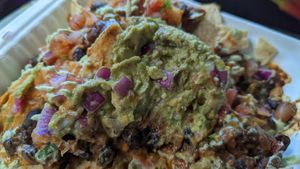 Best loaded nachos i have ever had at Fox & Fig in Savannah