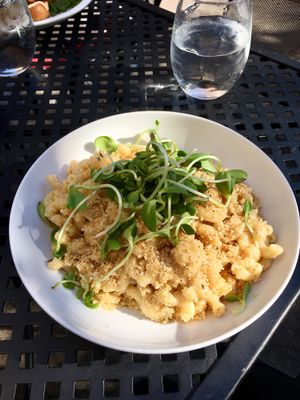 Miyokos Mac and cheese at Fox & Fig in Savannah