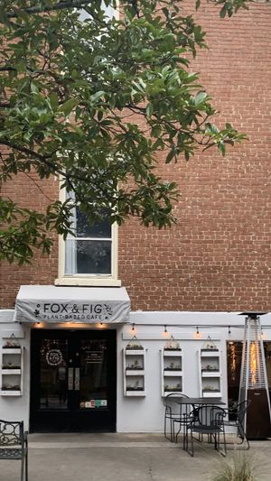 Cute Cafe all Plant Based  at Fox & Fig in Savannah