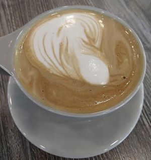 Vanilla cashew hemp latte with homemade oat milk at Fox & Fig in Savannah