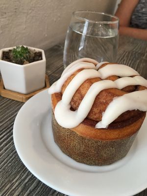 Cinnamon roll!! at Fox & Fig in Savannah
