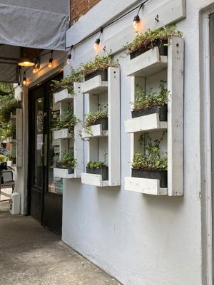 Outside at Fox & Fig in Savannah