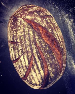 Dark and flavorful sourdough rye bread with caraway, anise and cardamom seeds. at TereCoco in Okayama