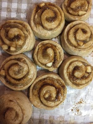 Cinnamon Rolls (vegan) at TereCoco in Okayama