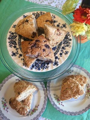 Vegan scones. A variety everyday.  at TereCoco in Okayama