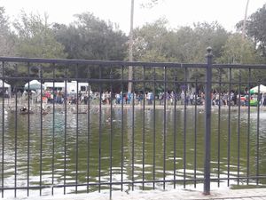 Jax Veg Fest 2017

Extremely long line at Murray Hillbilly in Jacksonville