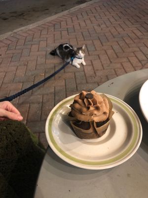 All this ... yes ✌🏽 at Murray Hillbilly in Jacksonville