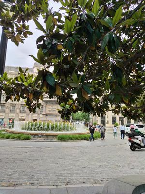 Views from restaurant at Wild Food in Granada