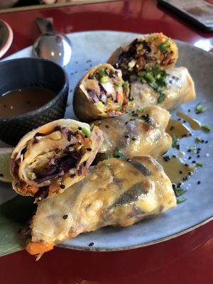 Vietnamese Spring Rolls  at Wild Food in Granada