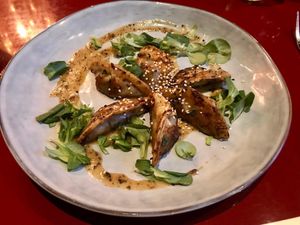 gyozas  at Wild Food in Granada
