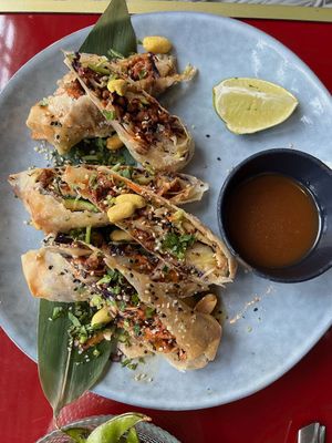 Vietnamese rolls at Wild Food in Granada