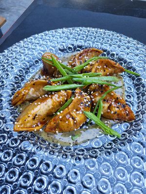 Dumplings at Wild Food in Granada