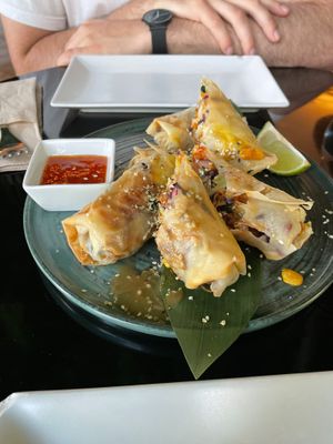 Vietnamese roll at Wild Food in Granada