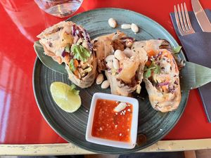 Rollitos vietnamitas  at Wild Food in Granada