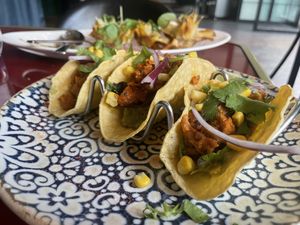 Tacos. Bien  at Wild Food in Granada