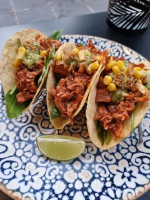 Tacos at Wild Food in Granada