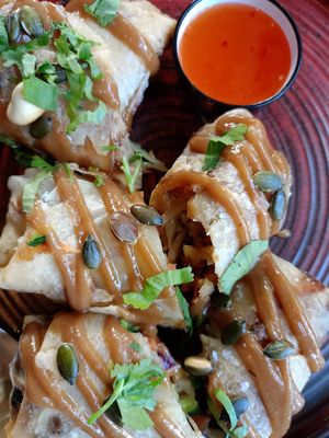 Rollitos vietnamitas at Wild Food in Granada