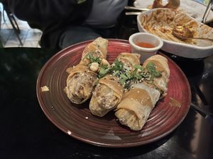 Vietnamese Rolls #Veganuary at Wild Food in Granada