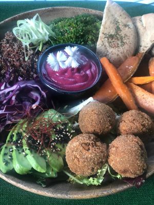 service recommendation
 at Wild Food in Granada