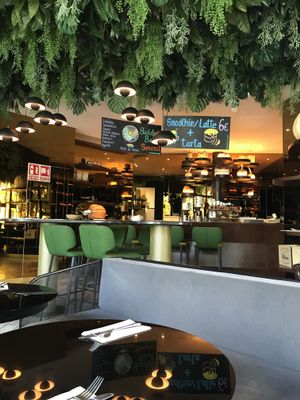 Loved the green hanging down from the ceiling. at Wild Food in Granada