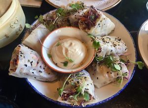 Rollitos Raw at Wild Food in Granada